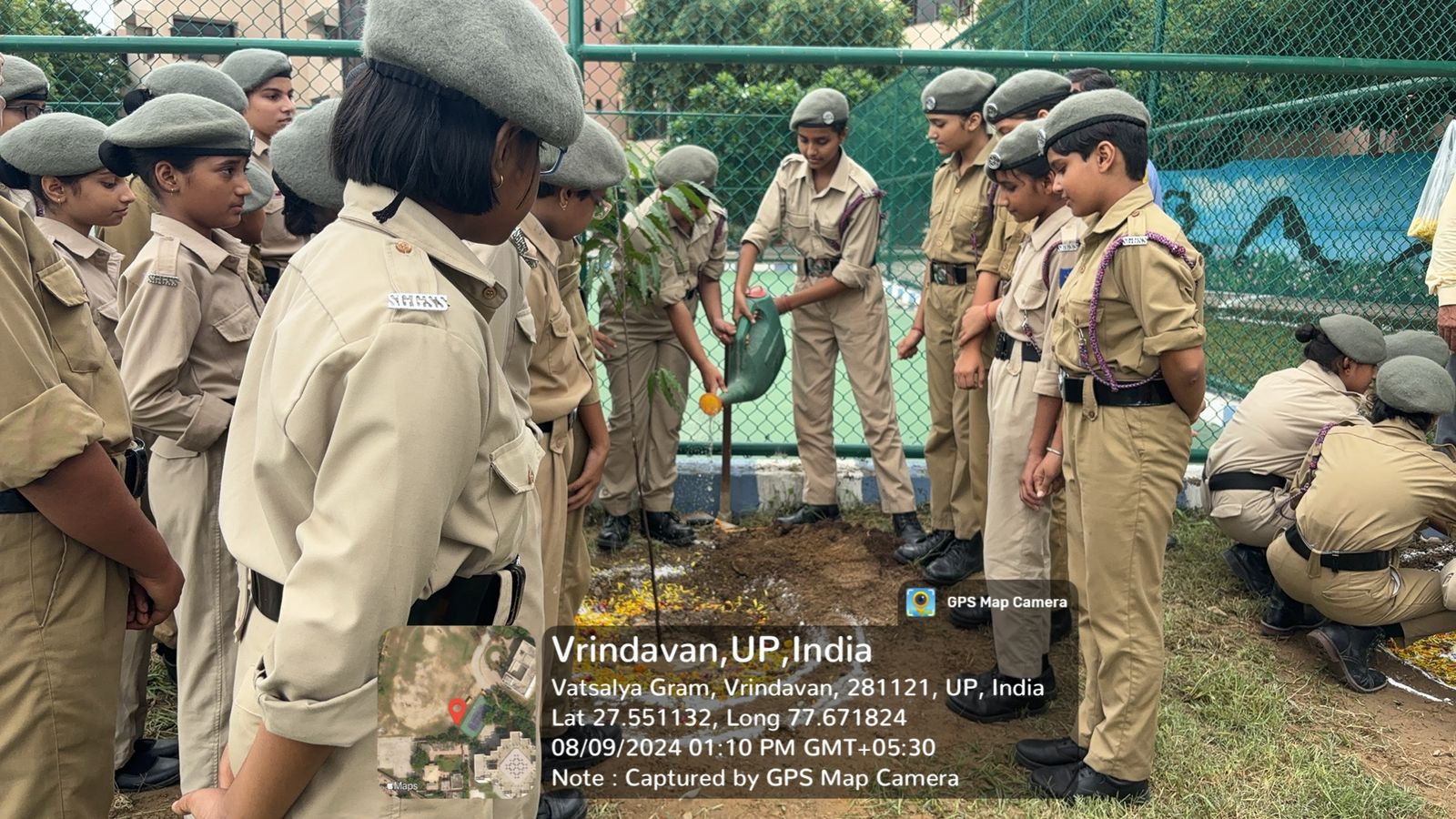 Plantation drive 2